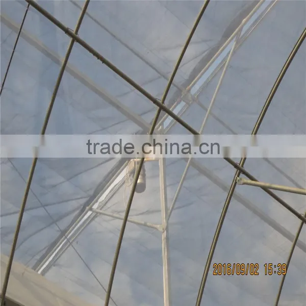 High Quality PE Material Greenhouse for Sale photo-3