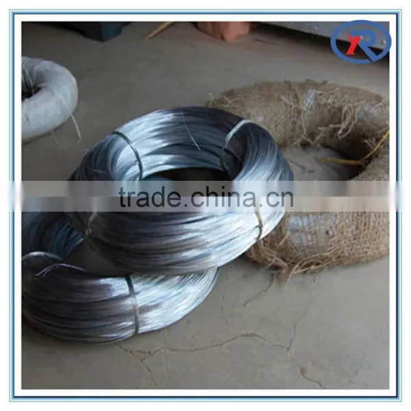 3mm Electro/hot Dipped Galvanized Straight Steel/iron Wire photo-3