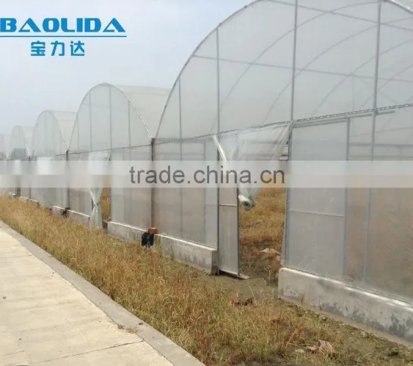 Cheap Easy Multi-span Greenhouse pe Film Green House photo-3