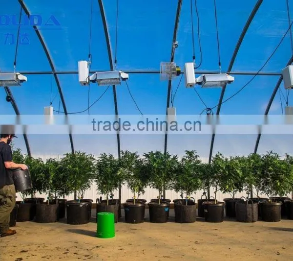 BaoLiDa Multi-span Poly Carbonate PC Agriculture Commercial Greenhouse photo-3
