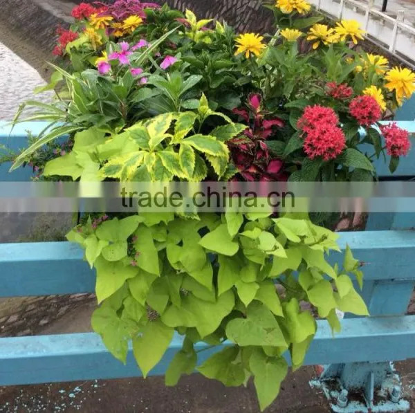 Vertical Garden Materials Garden Hanging Plastic Railing Planter photo-6