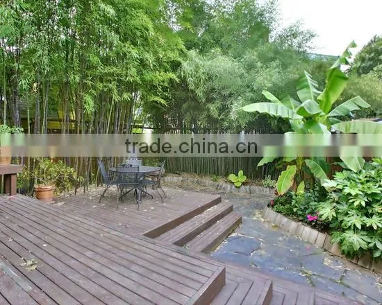 Outdoor Solid Wood Plastic Composite WPC Decking/WPC Flooring photo-2
