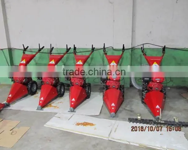 Grass Cutter photo-4