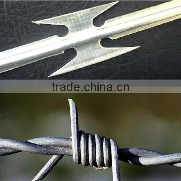 Barbed Wire Razor Wire Mesh Wall Spikes photo-3