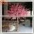 2015 Wholesale Decorative Artificial Fake Wedding Blossom Tree Cheap Silk Plastic Cherry Blossom Tree Life Size Trees and Plants photo-5