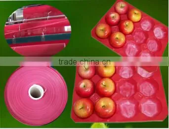 SGS Certificate Pure Material Made Plastic Insert Tray for Fruit photo-2