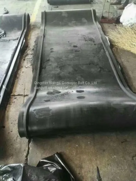 Skirt Ring Belt ,Sidewall Conveyor Belt photo-5