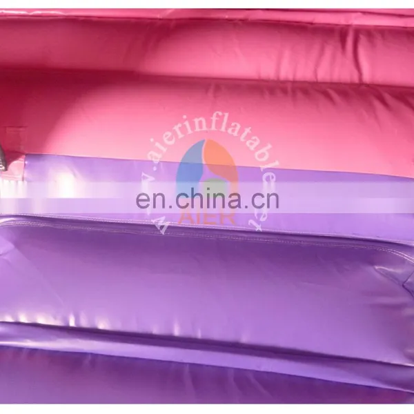 4.5x4.5x4m 0.55mmPVC Girls Favourite Sophia Princess Bounce House Combo for Fun photo-5