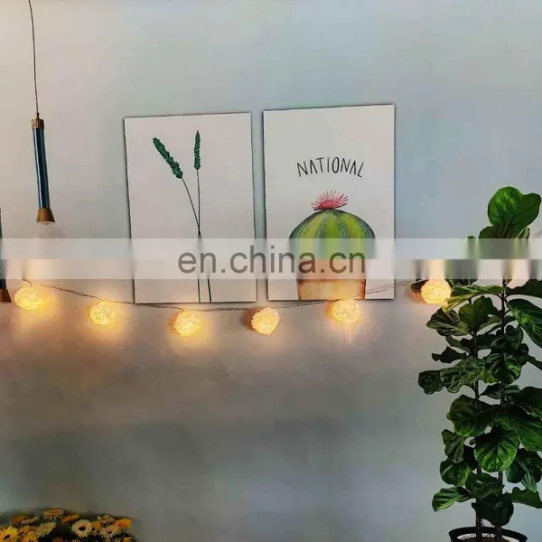 Valentine's Day Party Unique LED Fairy Cloth Rose String Light For Wedding Holiday photo-3