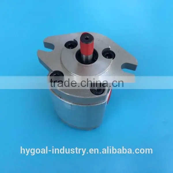Internal Gear Pump Micro Gear Pump Price China Supplier photo-5