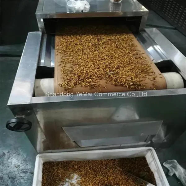 Continuous Yellow Mealworm Drying Equipment photo-2