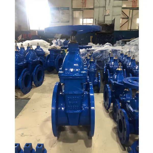 Manual Handwheel BS Rising Stem Gate Valve for Fire Protection System photo-4