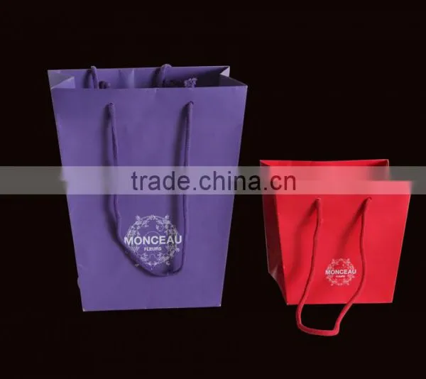 Luxury Shopping Paper Bag, Promotional Bag, Gift Bag photo-2