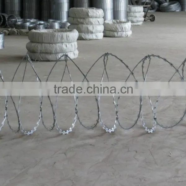 Hot Sell Razor Wire of Concertina photo-6