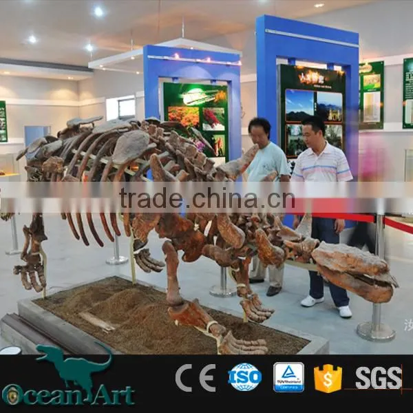 BY-DY-041406 Natural Science and History Museum Dinosaur Skeleton Model photo-4