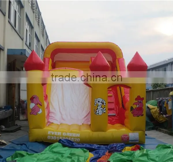 Lanqu Inflatable Slide With Dual Lanes Inflatable Dog Slide photo-2