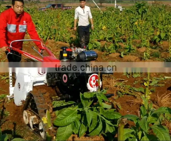 Farming Machinery Remove Stalk Shredder Sunflower/ Corn Stalk Crusher photo-2