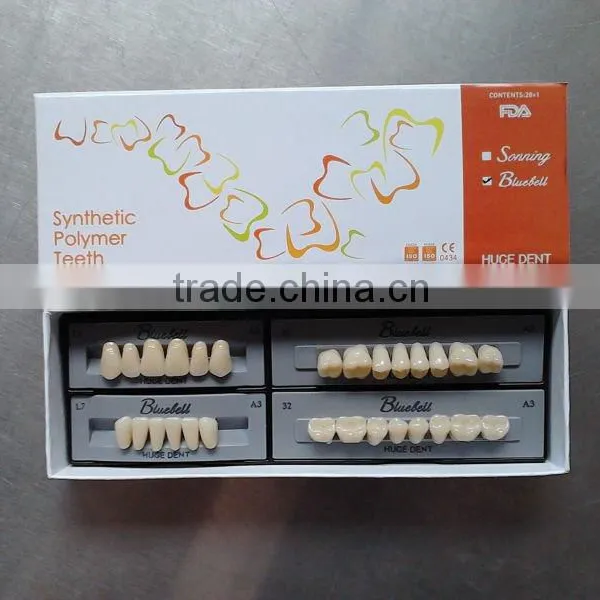 2015 Hot Sale Synthetic Polymer Teeth photo-2