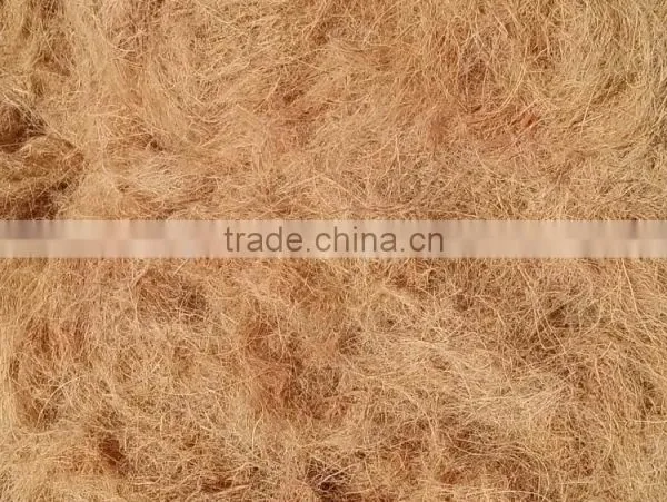 Coconut Fiber (QQ : 2598494113) photo-3