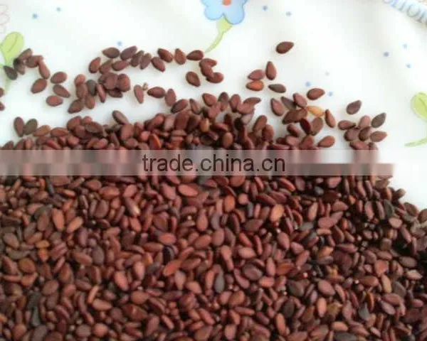 BROWN SESAME SEED