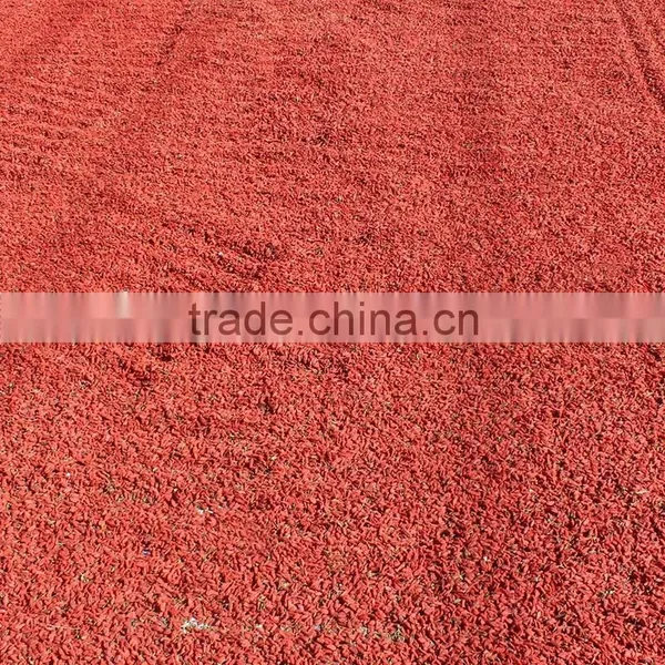 Manufacturer Supply Sun Dried Goji Berry/wolfberry Bulk photo-5