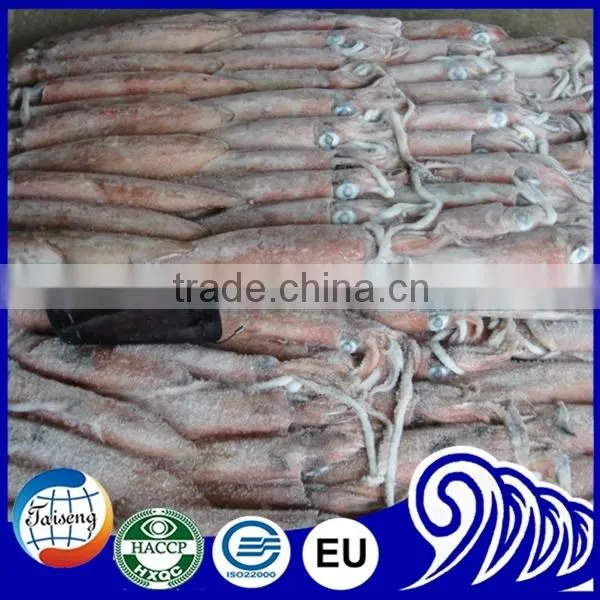Frozen Squid Price photo-4