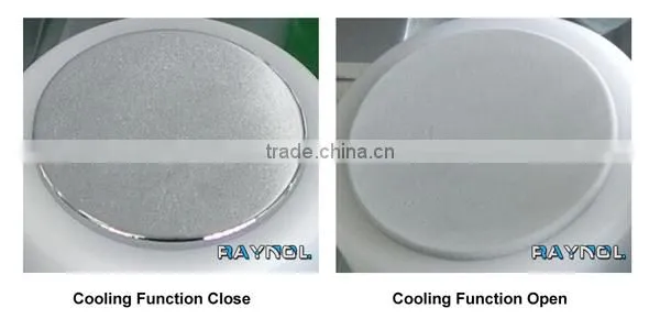 Best Skin Tightening ROYAL-FR200 RF Microneedle Fractional Machine photo-5