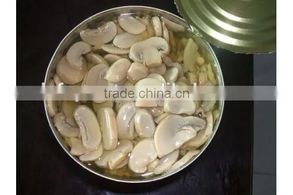 Chinese High Quality Wholesale Canned Mushroom Pieces and Stems photo-2