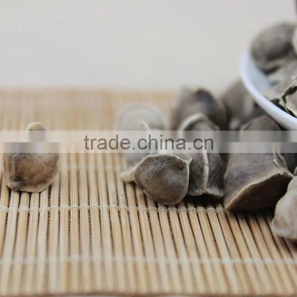 Moringa Seed,Moringa Tea photo-6
