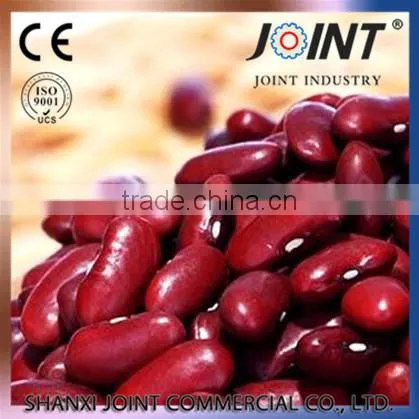 China Factory Hot Sale Organic Chinese Long Red Kidney Beans photo-5