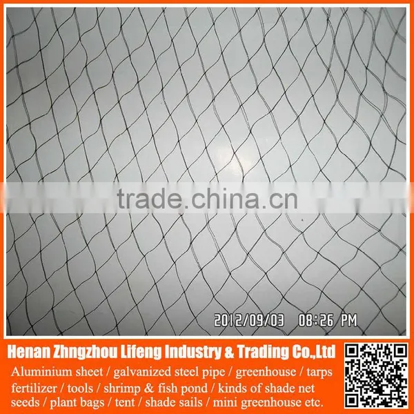 Low Price Green Virgin Invisible Bird Netting , 100% Virgin Hdpe Netting Fabric , Plastic Bird Nets for Catching Birds photo-5
