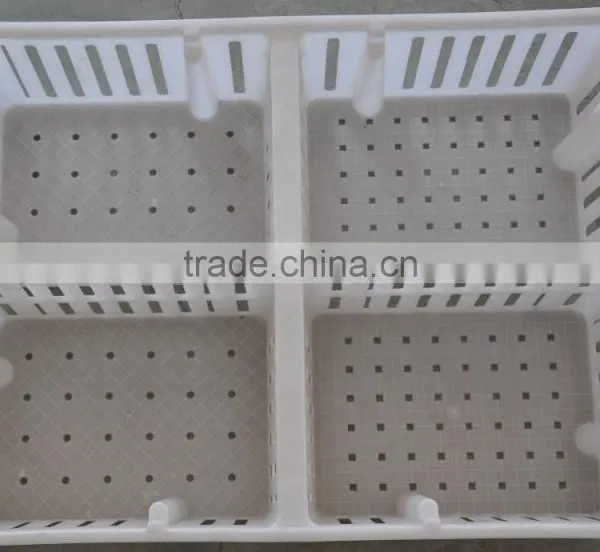 Plastic Turnover Box for Chickens photo-2