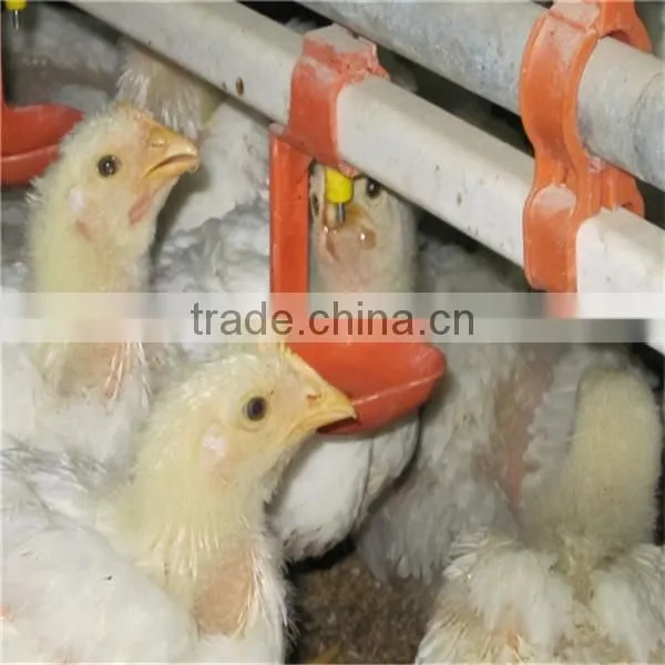 Cup Type Automatic Waterer photo-6
