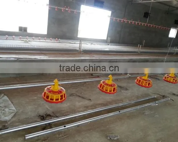 Parent Chicken Automatic Feeders for Female and Male photo-4