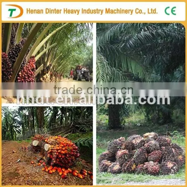 10TPH Palm Fruit Process Plant photo-2
