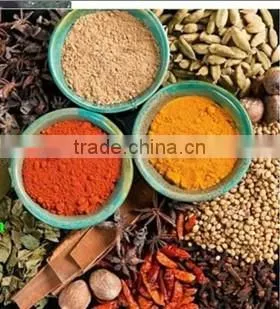 Electric Stainloess Steel Corn Coffee Grinder photo-2