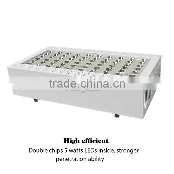 Grow Tent Complete Kit Led, Hydroponic Growing 60pcs 5W LEDs photo-2
