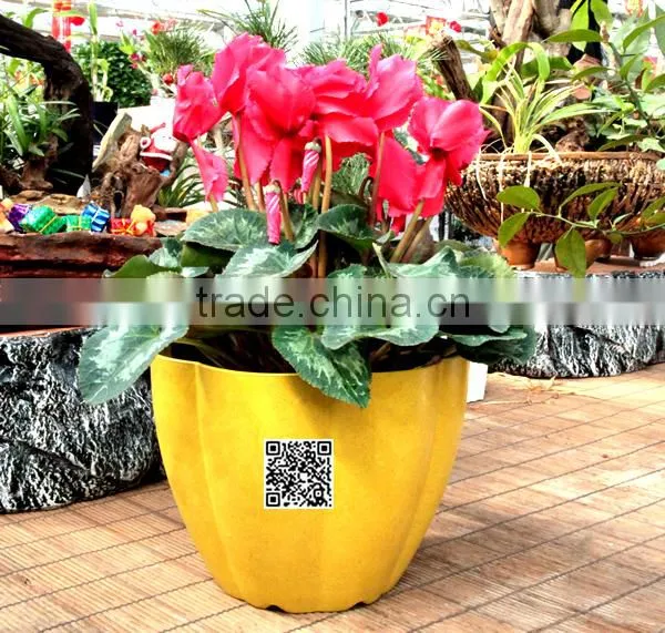 230*180 Biodegradable Colorful Plant Flower Pot Eco Planer photo-2