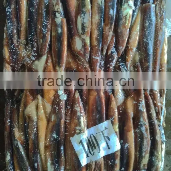 Wholesale Fresh Frozen Illex Squid Price photo-3