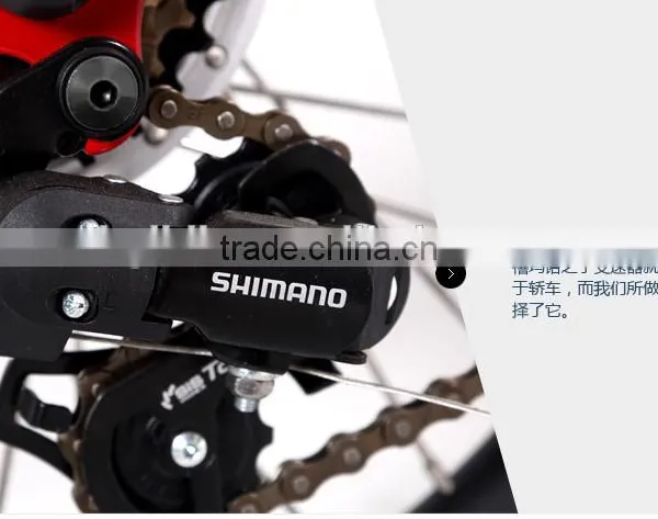 High Quality 20inch Electric Bicycle for Girls Folding Electric Bike With Lithium Battery photo-6