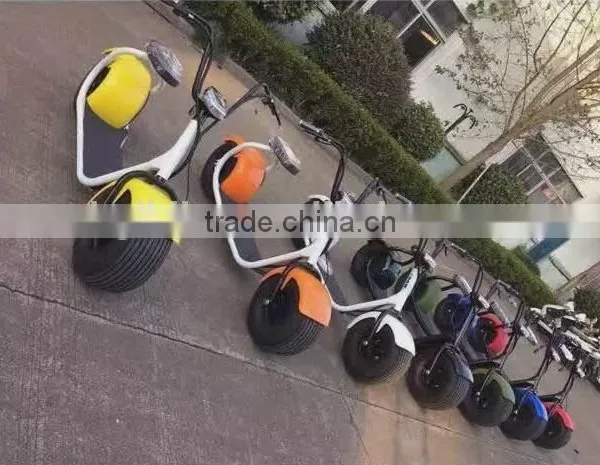 2017 China Factory Newly Speed Limited Fashionable Customized Electric Bike 48V Citycoco With LCD Display photo-4