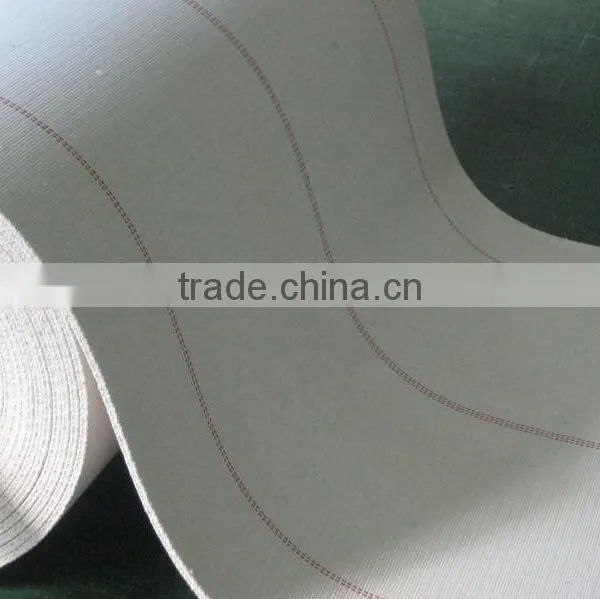 Good Quality and Low Price/it's Your Good Choice! Cotton Canvas Webbing photo-2