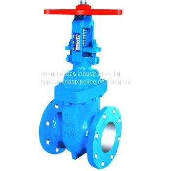 Made in China Quality Gate Valve With Prices photo-3