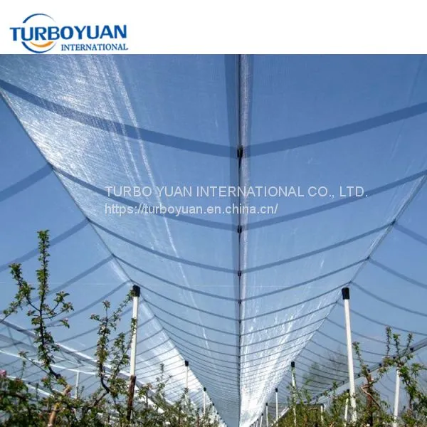 Black Fruit Protection Quad Mesh Net / Vineyard HDPE Anti Hail Proof Netting for Greenhouse