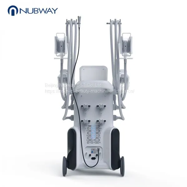 2019 Professional 4 Handles Working Simultaneously Cryolipolysis Vacuum Slimming Machine photo-4