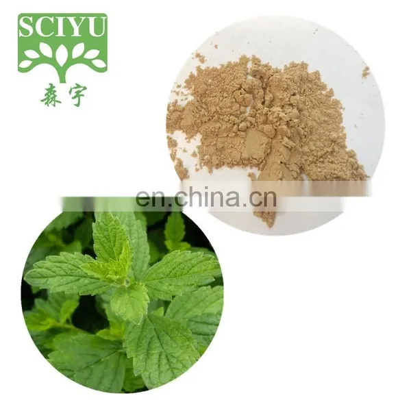 Lemon Balm Leaf Extract Melissa Officinalis Extract photo-2