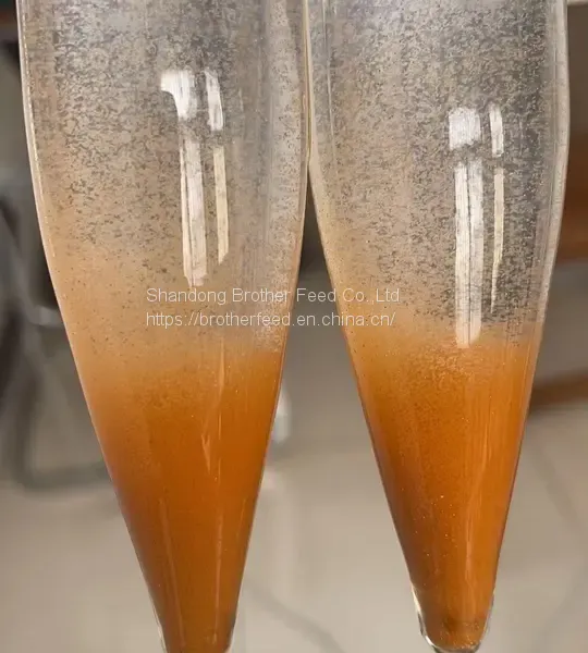 China Factory Hot Sale Decapsulated Eggs Artemia Cysts Same Quality as Osi