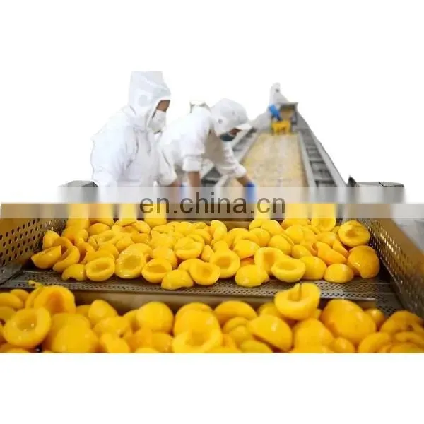 Canned Fruit Vegetable Processing Line