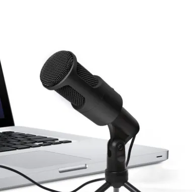 Microphone
