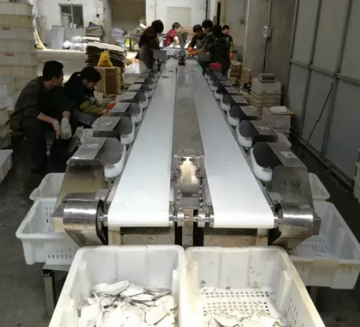Professional Seafood Weight Sorting Machine Fish,shrimp,Oysters,Prawns,Scallops,Squid Weight Selecting Machine photo-4